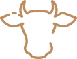 2025 Trail ride 4 Cattle Branding Image